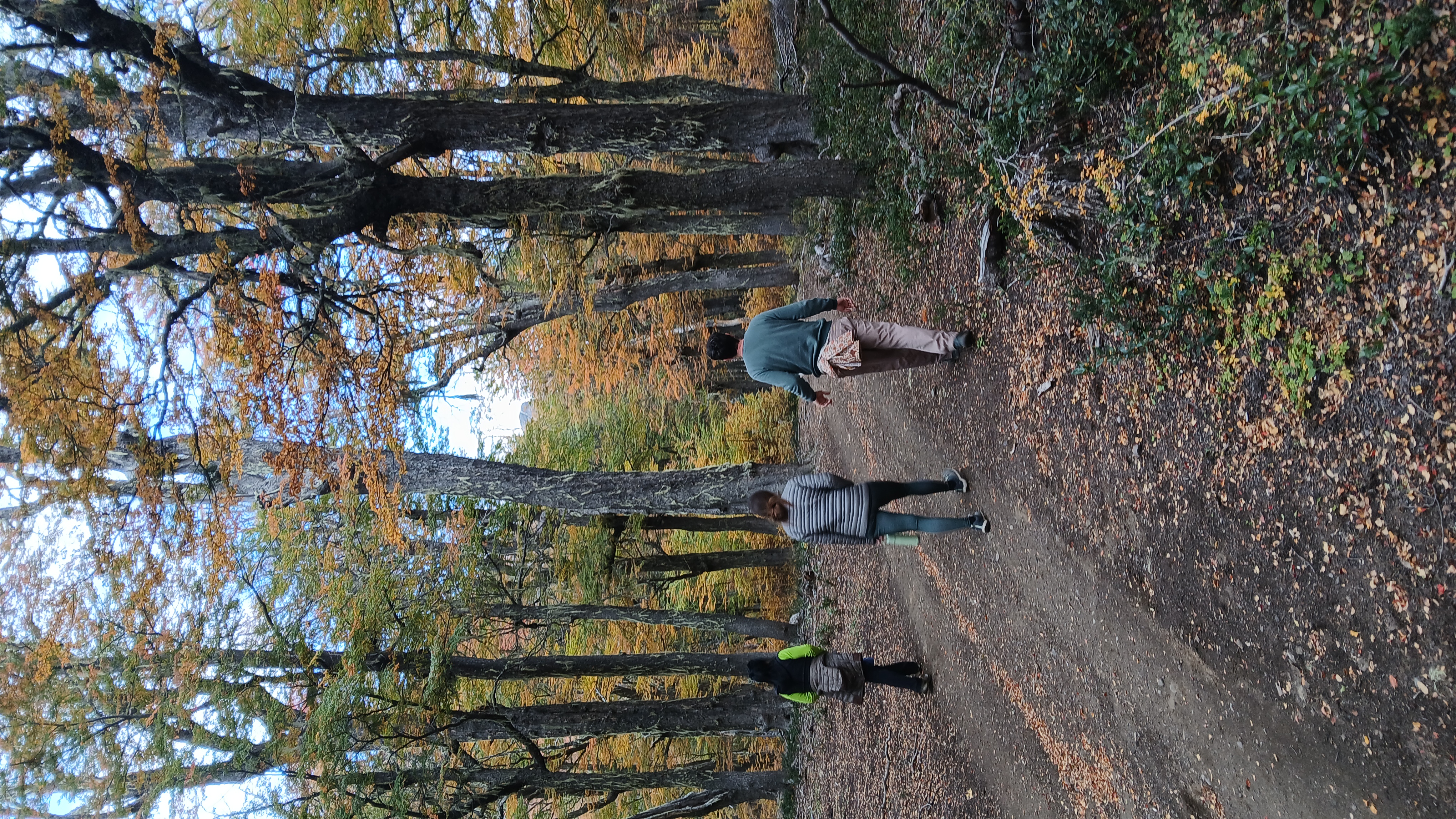 Caminatas
